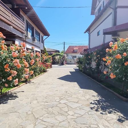 Отель Casa Luca Вама-Веке Экстерьер фото