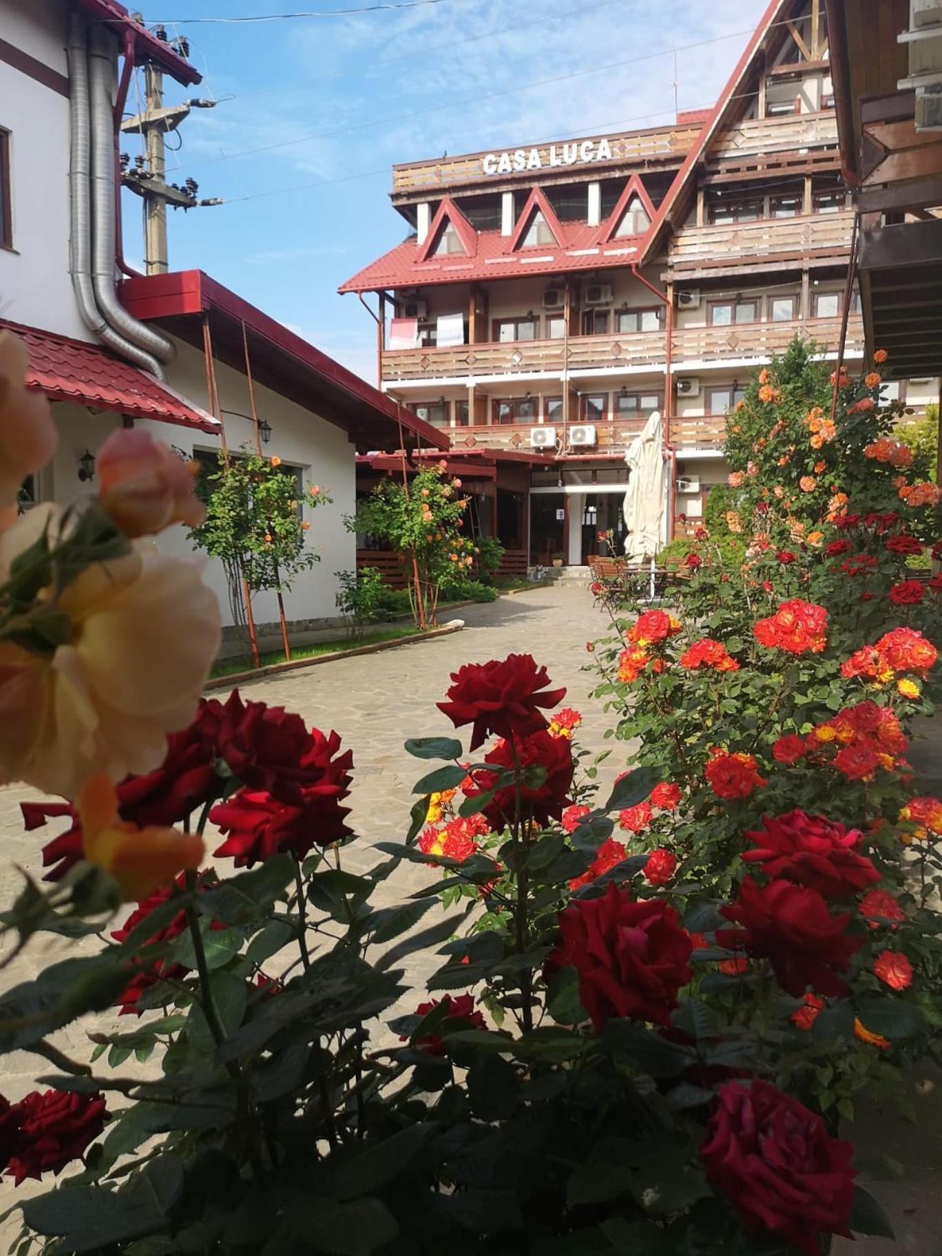 Отель Casa Luca Вама-Веке Экстерьер фото